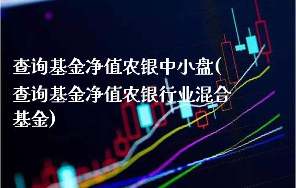 查询基金净值农银中小盘(查询基金净值农银行业混合基金)_期货百科_第1张_公牛期货直播室 查询基金净值农银中小盘(查询基金净值农银行业混合基金)_https://www.gnhpgy.com_期货百科_第1张