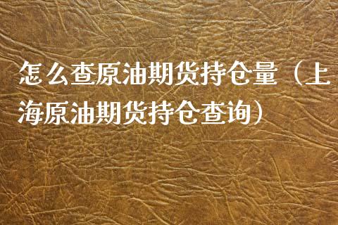 怎么查原油期货持仓量（上海原油期货持仓查询）_https://www.gnhpgy.com_纳指期货_第1张