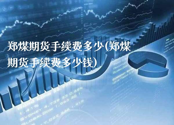 郑煤期货手续费多少(郑煤期货手续费多少钱)_https://www.gnhpgy.com_原油期货_第1张