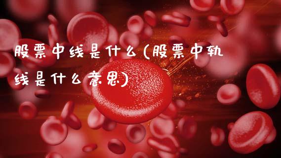 股票中线是什么(股票中轨线是什么意思)_https://www.gnhpgy.com_股指期货_第1张
