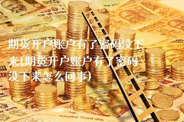 期货开户账户有了密码没下来(期货开户账户有了密码没下来怎么回事)_https://www.gnhpgy.com_恒指期货_第1张
