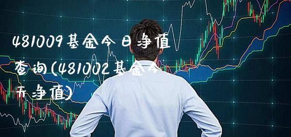 481009基金今日净值查询(481002基金今天净值)_https://www.gnhpgy.com_德指期货_第1张