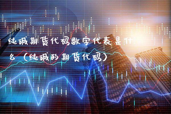 纯碱期货代码数字代表是什么（纯碱的期货代码）_https://www.gnhpgy.com_恒指期货_第1张