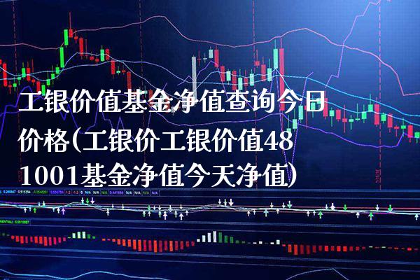 工银价值基金净值查询今日价格(工银价工银价值481001基金净值今天净值)_https://www.gnhpgy.com_股指期货_第1张