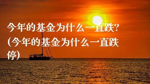 今年的基金为什么一直跌?(今年的基金为什么一直跌停)_https://www.gnhpgy.com_期货知识_第1张