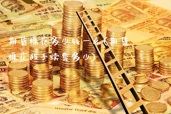 期货棉花多少钱一点(期货棉花的手续费多少)_https://www.gnhpgy.com_恒指期货_第1张