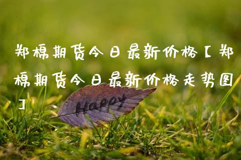 郑棉期货今日最新价格【郑棉期货今日最新价格走势图】_https://www.gnhpgy.com_期货知识_第1张