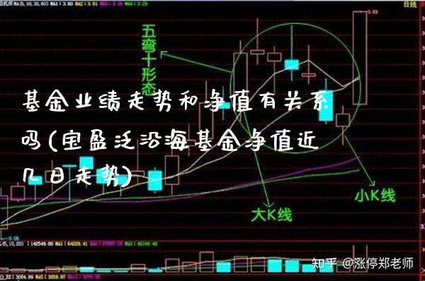 基金业绩走势和净值有关系吗(宝盈泛沿海基金净值近几日走势)_https://www.gnhpgy.com_纳指期货_第1张