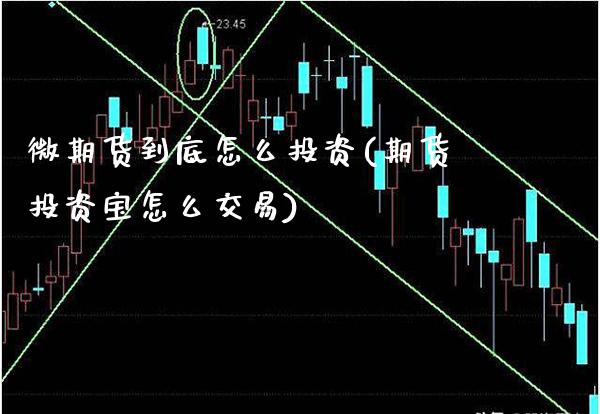 微期货到底怎么投资(期货投资宝怎么交易)_https://www.gnhpgy.com_期货知识_第1张