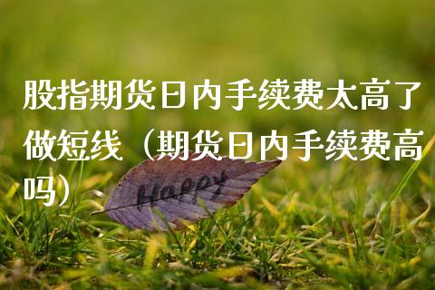 股指期货日内手续费太高了做短线（期货日内手续费高吗）_https://www.gnhpgy.com_黄金期货_第1张
