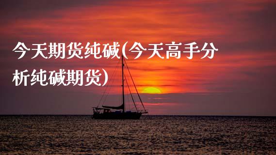 今天期货纯碱(今天高手分析纯碱期货)_期货百科_第1张_公牛期货直播室 今天期货纯碱(今天高手分析纯碱期货)_https://www.gnhpgy.com_期货百科_第1张