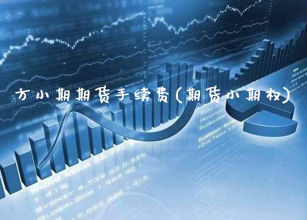 方小期期货手续费(期货小期权)_https://www.gnhpgy.com_德指期货_第1张