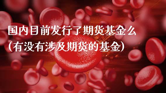 国内目前发行了期货基金么(有没有涉及期货的基金)_https://www.gnhpgy.com_股指期货_第1张