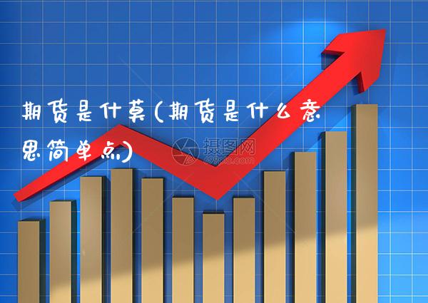 期货是什莫(期货是什么意思简单点)_https://www.gnhpgy.com_原油期货_第1张