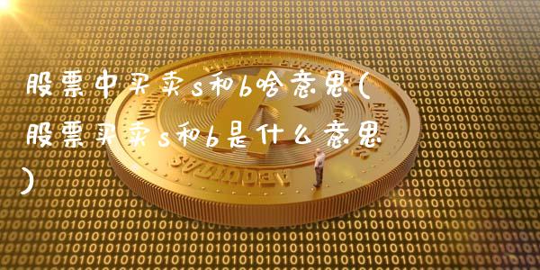 股票中买卖s和b啥意思(股票买卖s和b是什么意思)_https://www.gnhpgy.com_纳指期货_第1张