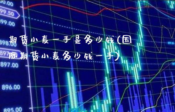 期货小麦一手是多少钱(国际期货小麦多少钱一手)_https://www.gnhpgy.com_恒指期货_第1张