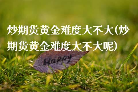 炒期货黄金难度大不大(炒期货黄金难度大不大呢)_https://www.gnhpgy.com_道指期货_第1张