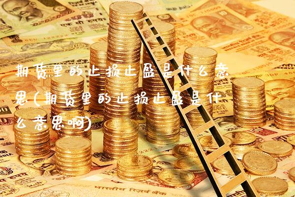 期货里的止损止盈是什么意思(期货里的止损止盈是什么意思啊)_https://www.gnhpgy.com_原油期货_第1张