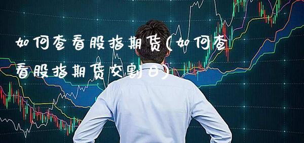 如何查看股指期货(如何查看股指期货交割日)_https://www.gnhpgy.com_道指期货_第1张