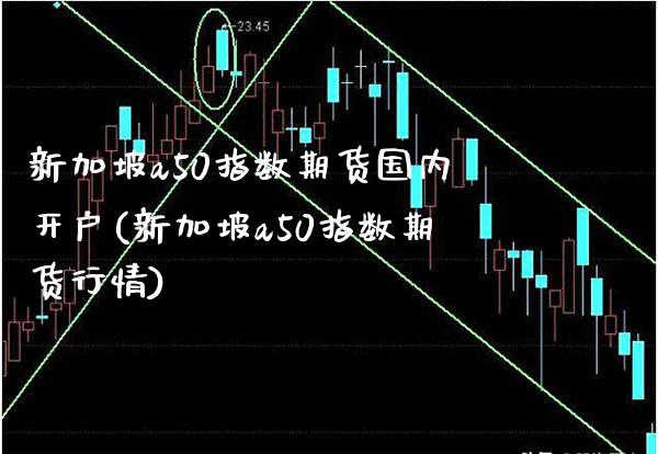 新加坡a50指数期货国内开户(新加坡a50指数期货行情)_https://www.gnhpgy.com_黄金期货_第1张