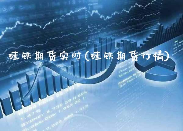 硅铁期货实时(硅铁期货行情)_https://www.gnhpgy.com_纳指期货_第1张