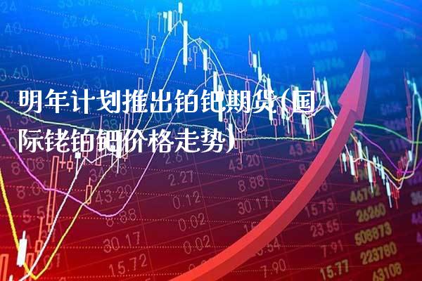 明年计划推出铂钯期货(国际铑铂钯价格走势)_https://www.gnhpgy.com_原油期货_第1张