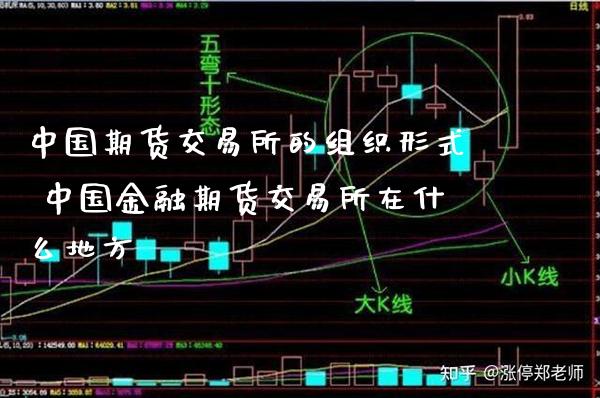 中国期货交易所的组织形式 中国金融期货交易所在什么地方_https://www.gnhpgy.com_股指期货_第1张