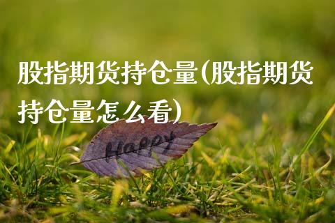 股指期货持仓量(股指期货持仓量怎么看)_https://www.gnhpgy.com_纳指期货_第1张