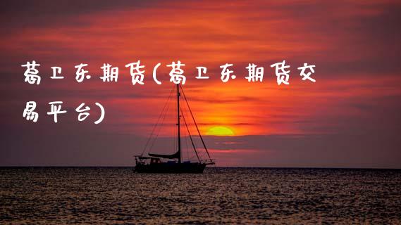 葛卫东期货(葛卫东期货交易平台)_https://www.gnhpgy.com_原油期货_第1张