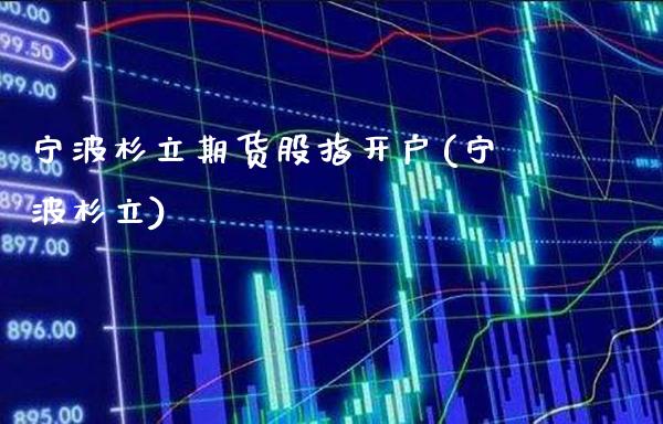 宁波杉立期货股指开户(宁波杉立)_https://www.gnhpgy.com_黄金期货_第1张