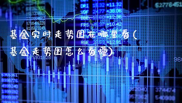 基金实时走势图在哪里看(基金走势图怎么看懂)_https://www.gnhpgy.com_期货知识_第1张