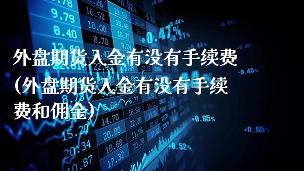 外盘期货入金有没有手续费(外盘期货入金有没有手续费和佣金)_https://www.gnhpgy.com_期货百科_第1张