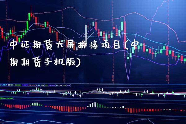 中证期货大屏拼接项目(中期期货手机版)_https://www.gnhpgy.com_纳指期货_第1张