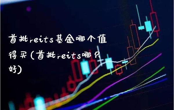 首批reits基金哪个值得买(首批reits哪只好)_https://www.gnhpgy.com_股指期货_第1张