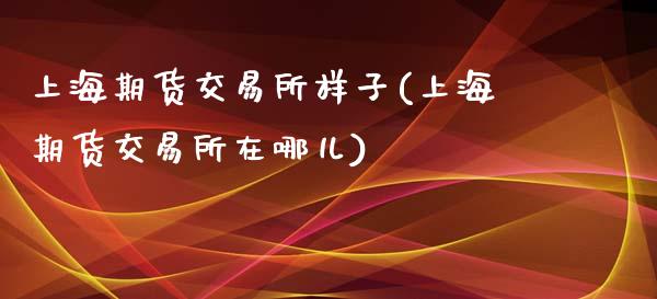 上海期货交易所样子(上海期货交易所在哪儿)_https://www.gnhpgy.com_原油期货_第1张