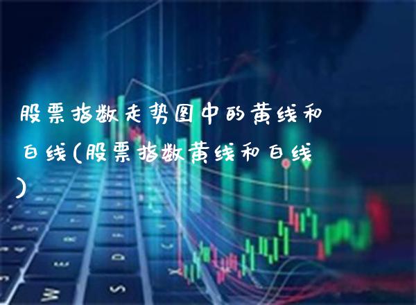 股票指数走势图中的黄线和白线(股票指数黄线和白线)_https://www.gnhpgy.com_期货知识_第1张