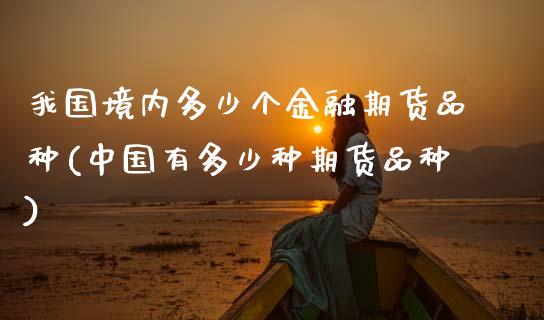 我国境内多少个金融期货品种(中国有多少种期货品种)_https://www.gnhpgy.com_纳指期货_第1张