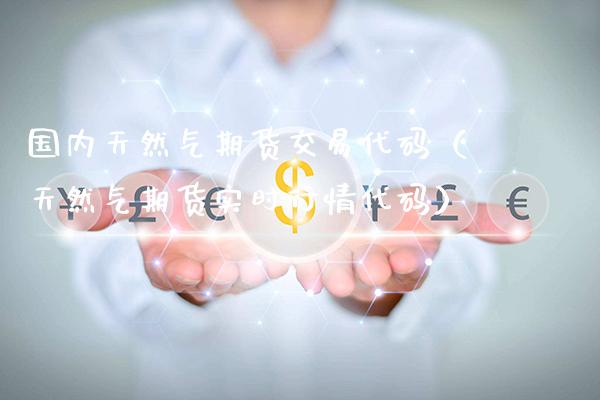 国内天然气期货交易代码（天然气期货实时行情代码）_https://www.gnhpgy.com_纳指期货_第1张