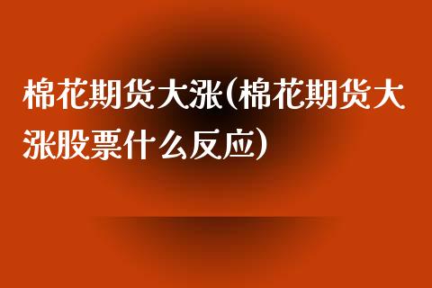 棉花期货大涨(棉花期货大涨股票什么反应)_https://www.gnhpgy.com_恒指期货_第1张
