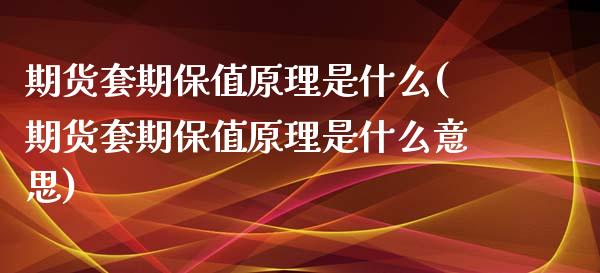 期货套期保值原理是什么(期货套期保值原理是什么意思)_https://www.gnhpgy.com_期货知识_第1张