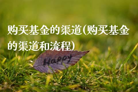 购买基金的渠道(购买基金的渠道和流程)_https://www.gnhpgy.com_黄金期货_第1张