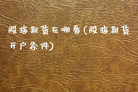 股指期货在哪看(股指期货开户条件)_https://www.gnhpgy.com_股指期货_第1张