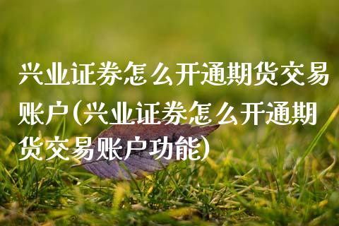 兴业证券怎么开通期货交易账户(兴业证券怎么开通期货交易账户功能)_https://www.gnhpgy.com_道指期货_第1张