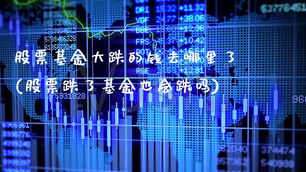 股票基金大跌的钱去哪里了(股票跌了基金也会跌吗)_https://www.gnhpgy.com_纳指期货_第1张