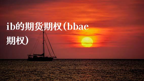 ib的期货期权(bbae期权)_https://www.gnhpgy.com_原油期货_第1张