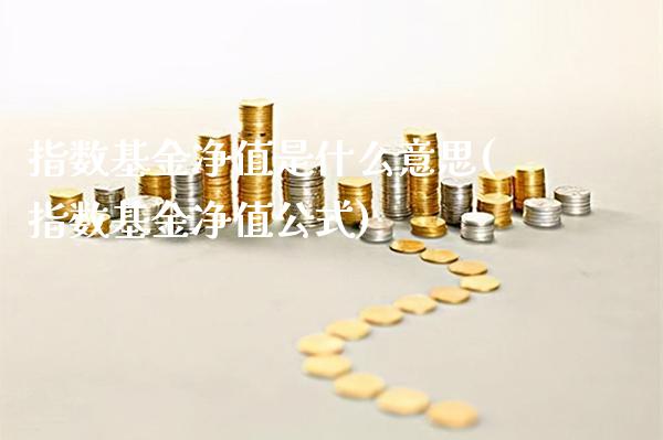 指数基金净值是什么意思(指数基金净值公式)_道指期货_第1张_公牛期货直播室 指数基金净值是什么意思(指数基金净值公式)_https://www.gnhpgy.com_道指期货_第1张