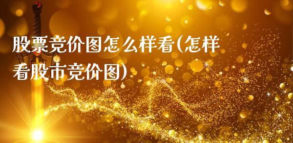 股票竞价图怎么样看(怎样看股市竞价图)_https://www.gnhpgy.com_股指期货_第1张