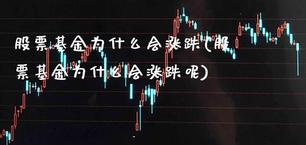 股票基金为什么会涨跌(股票基金为什么会涨跌呢)_https://www.gnhpgy.com_道指期货_第1张