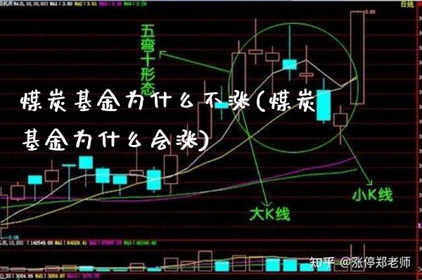 煤炭基金为什么不涨(煤炭基金为什么会涨)_https://www.gnhpgy.com_期货知识_第1张