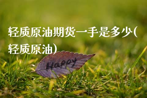 轻质原油期货一手是多少(轻质原油)_https://www.gnhpgy.com_恒指期货_第1张